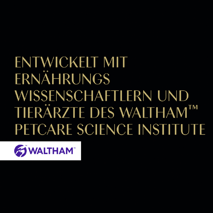 Sheba Katzen-Nassfutter Filets mit Weißfisch